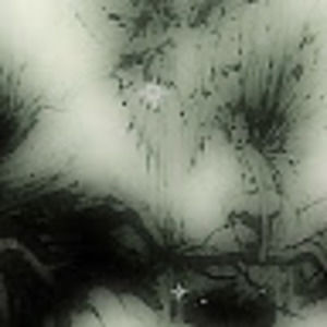 Meet your Posher, Abi